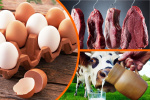  Производство продуктов животноводства за январь – апрель 2024 года