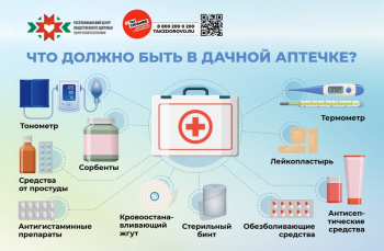 Что должно быть в дачной аптечке?