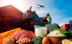 Ввоз и вывоз продовольственных товаров по УР в 1кв 2023 года