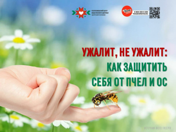 Как защитить себя от пчел и ос