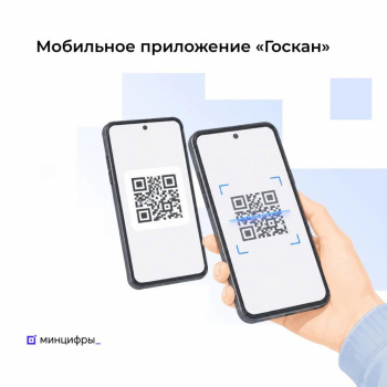 Мобильное приложение «Госкан»