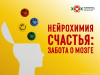 Нейрохимия счастья Забота о мозге