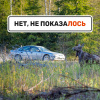 Нет, не показаЛОСЬ