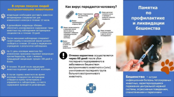 Главное управление ветеринарии республики