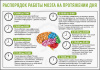 Распорядок работы мозга на протяжении дня