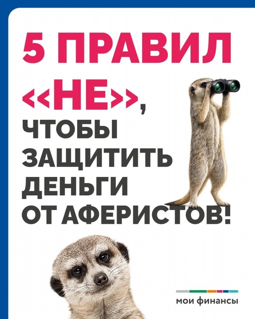 69879383-bc74-4ff8-871b-8f8c66b32d42.jpg