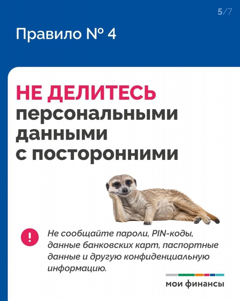 7cf9c748-809e-4600-989b-e4637c1fb72c.jpg