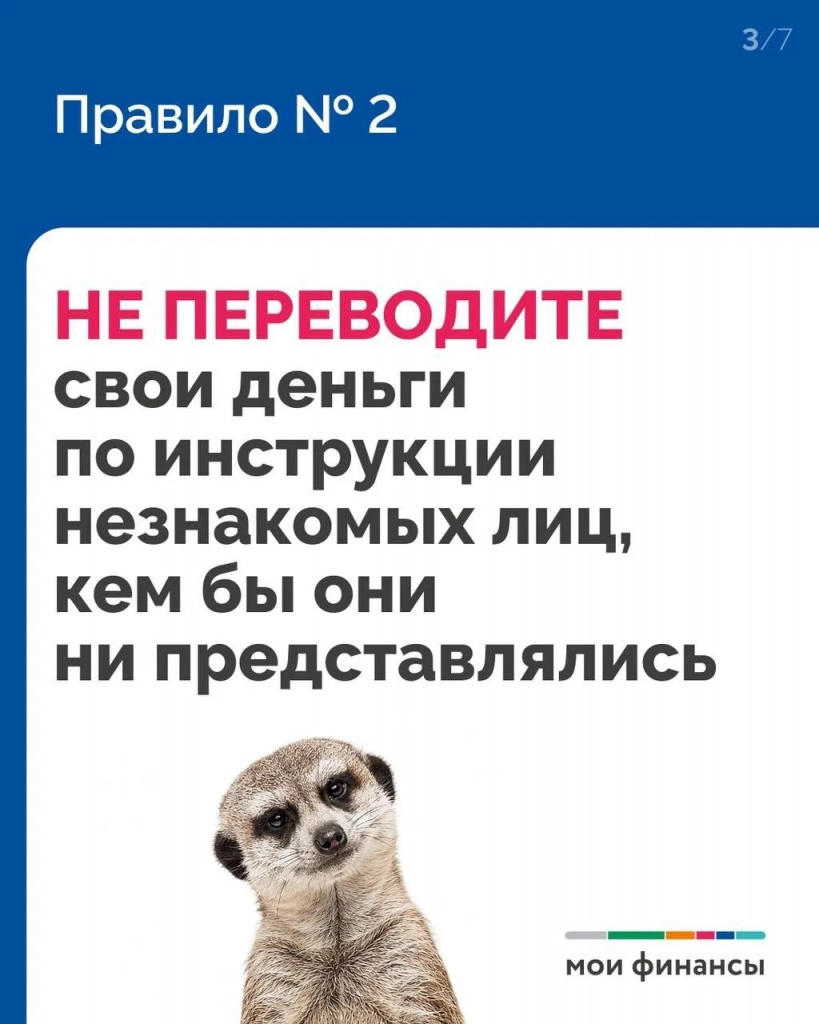 413d15b8-9e3e-43ac-923b-fe423cbb87e6.jpg